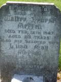 image of grave number 348080